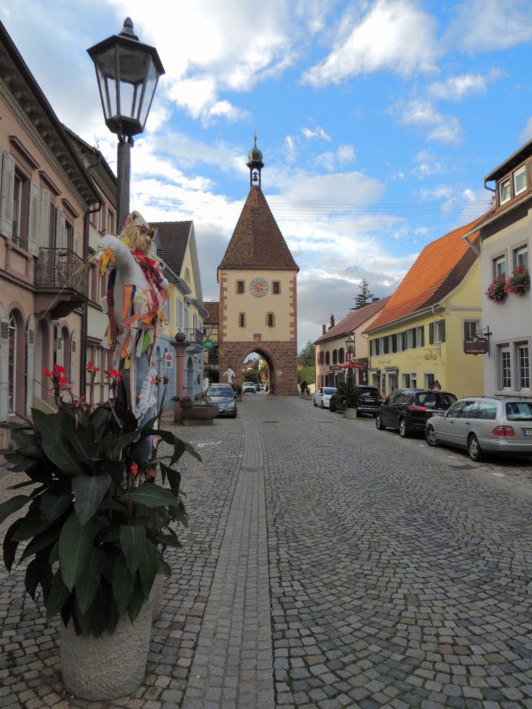 2013.10-Endingen am Keiserstuhl. by dawx