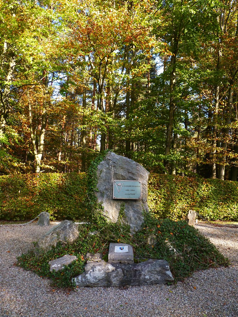 Mémorial au maquisard inconnu de La Reid by Rudy Pické