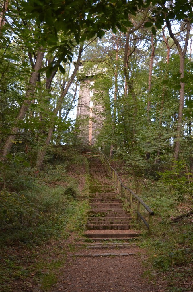 Woltersdorf (bei Berlin) Aussichtsturm Kranichsberg by FireBuff