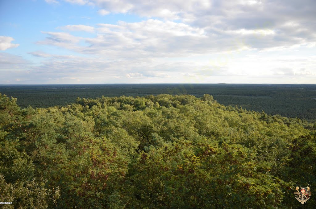 Woltersdorf - Blick vom Aussichtsturm Kranichsberg by FireBuff