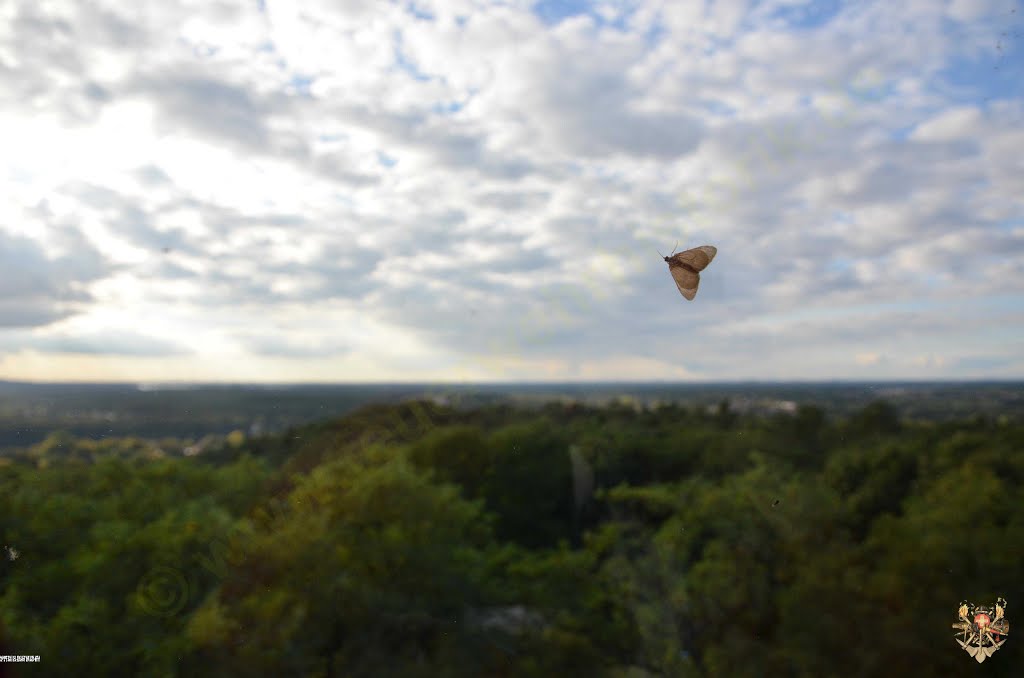 Woltersdorf - Blick vom Aussichtsturm Kranichsberg by FireBuff