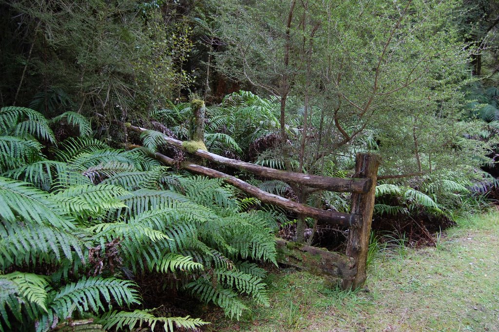 Near Bullock Creek Farm by dirkleh