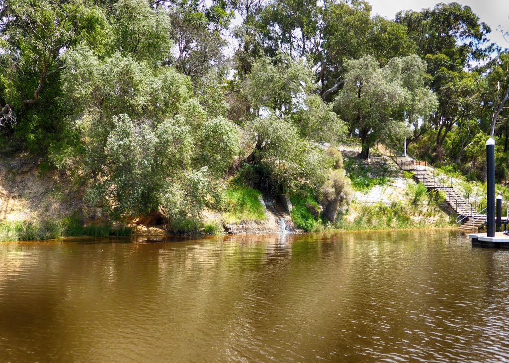 Natural Spring, Swan River, Success Hill, Western Australia by Stuart Smith