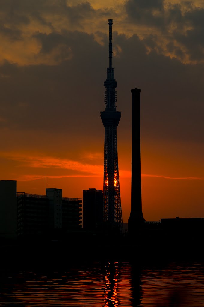 Tokyo Sky Tree / 東京スカイツリー by Kangoo_