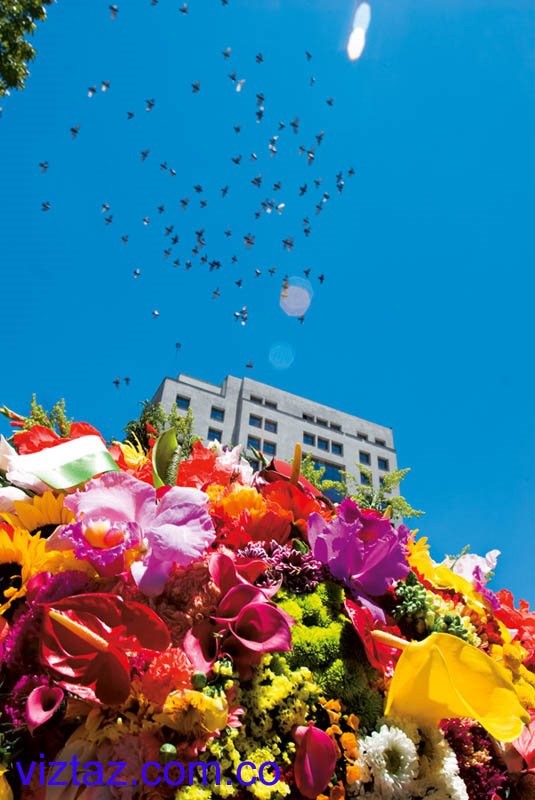 Desfile de Silleteros (Feria de las Flores Medellín) by Fundación Víztaz