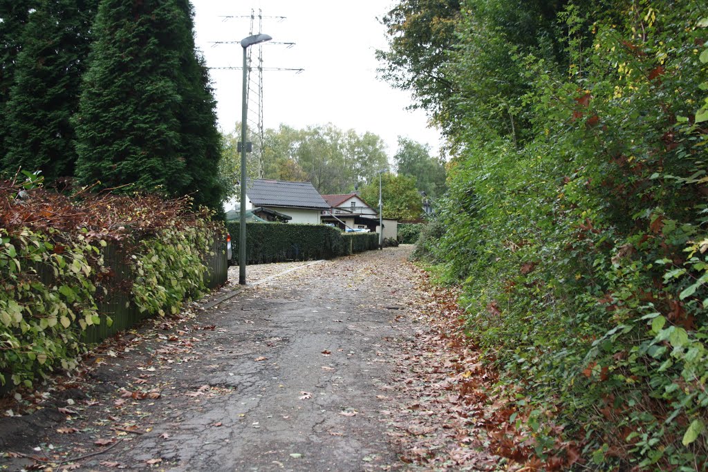 Schrebergartenanlage Buschkampstr. in Herne by Wanne-Eickeler