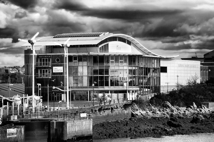 National Marine Aquarium by highton-ridley