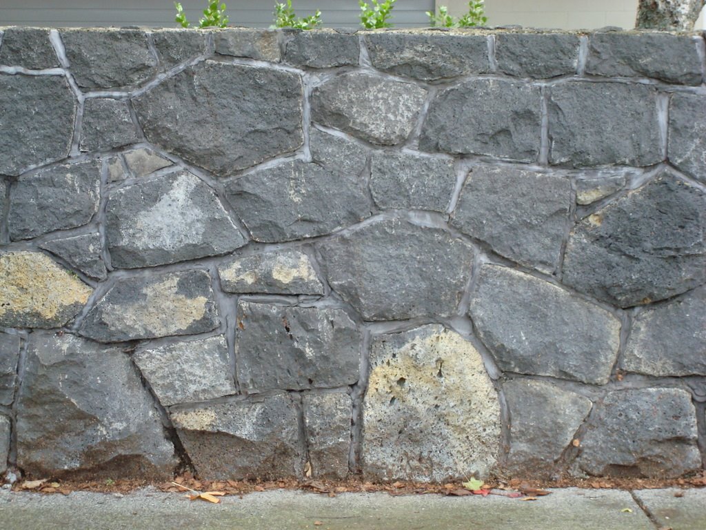 Auckland Stone Wall by owenjohn