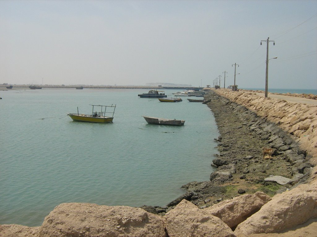 Qeshm, Hormozgan, Iran by Hamid Karimi