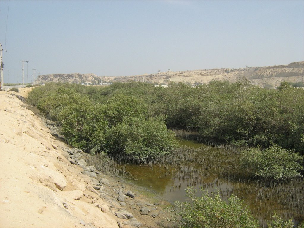 Hamoun by Hamid Karimi