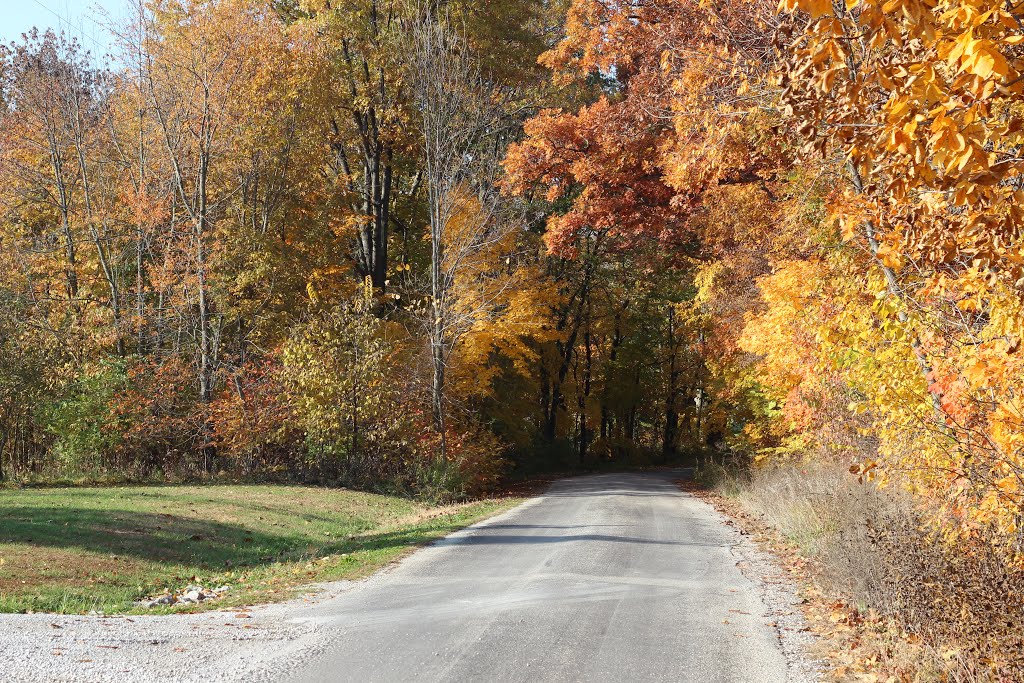 Fall 2013 near Sidney, IL by Ted Cuson