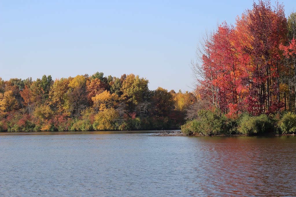 Homer Lake Forest Preserve by Ted Cuson