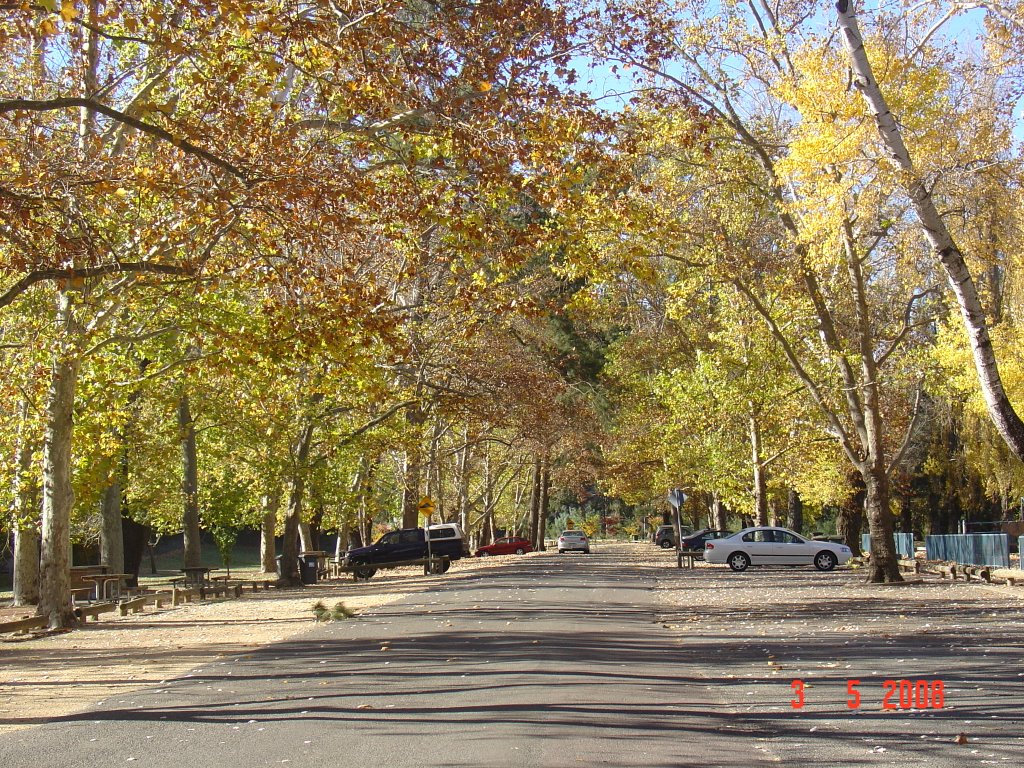 Late Autumn Afternoon at Cotter Avenue by V.J. Munslow