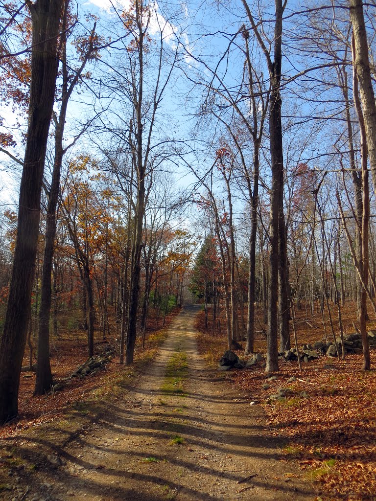 Norcross wildlife sanctuary access road by MLaferriere