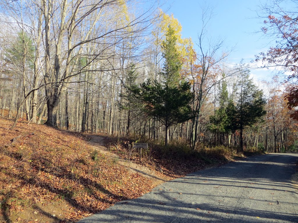 Norcross wildlife sanctuary walkways by MLaferriere