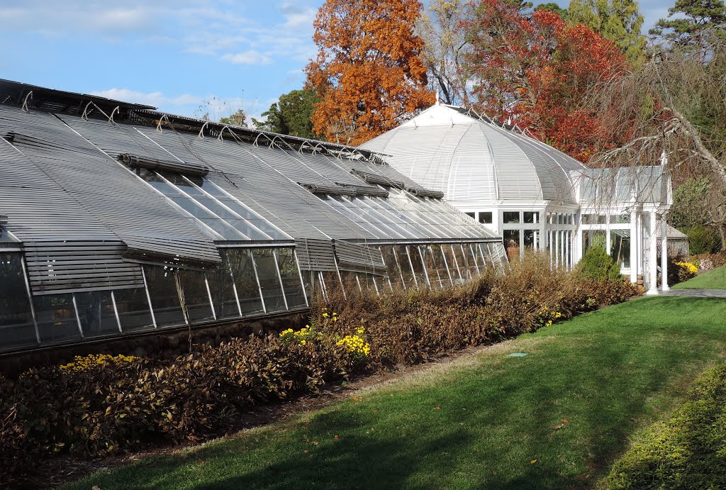 Green House----st by SteveTysinger