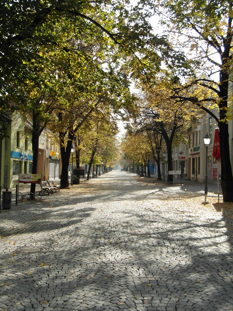 Herbstlicher Blick in die Lindenstraße by IngolfBLN