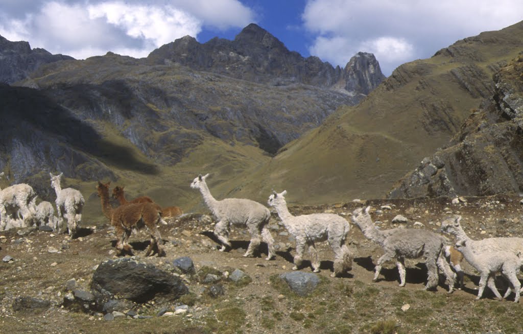 Alpamayo circuit. Lamas by Huilca. A very laid back and remote area. Now power and, potable water from a creek. by Uwe Kazmaier