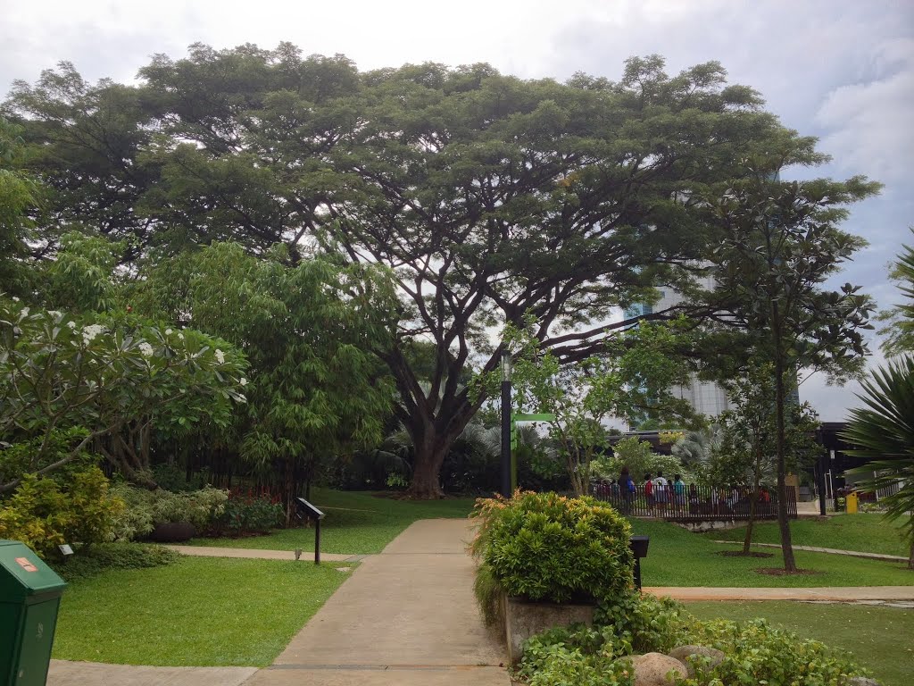 HortPark, Southern Ridges, Singapore by metrotrekker