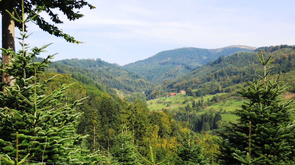 Schwarzwaldblick by Jürgen Gröbel