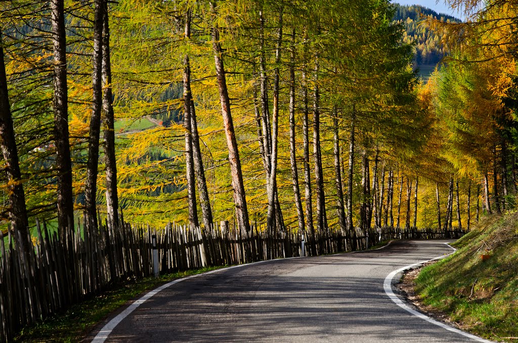 BZ.Santa Maddalena.la pace del paesaggio by Egidio Moretton