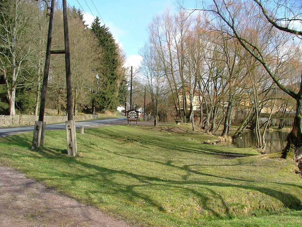 Am Teich in St. Kilian by foto-schleusingen.de