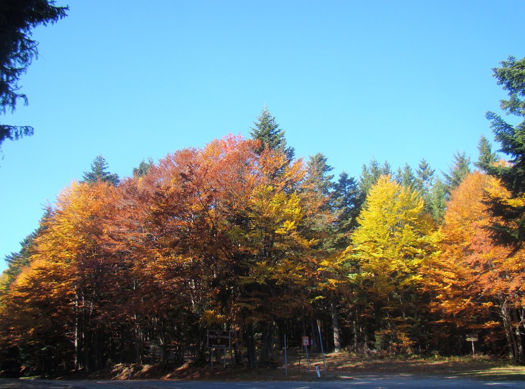 POHORJE by boris.zupancic29@gmail.com