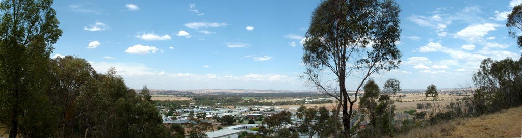 Willans Hill by Robert Myers