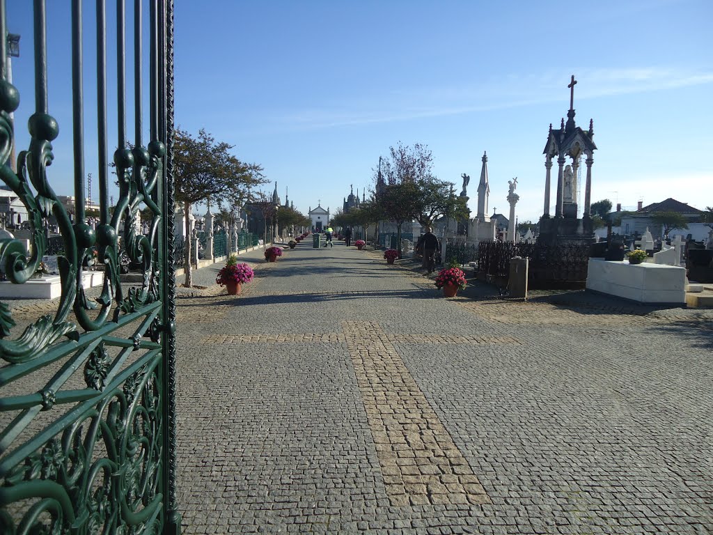 Cimitério de Barcelos by Belmiro Teixeira