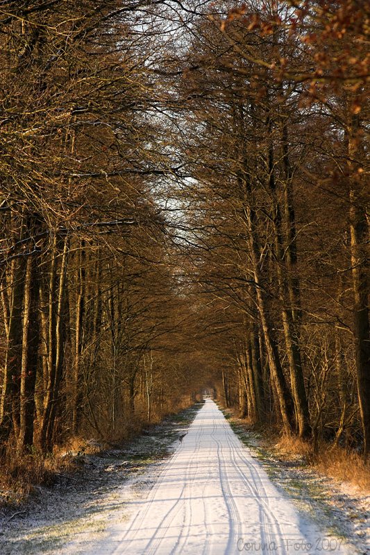 Blick in den Weg Richtung Rotenburg by Corinna2212