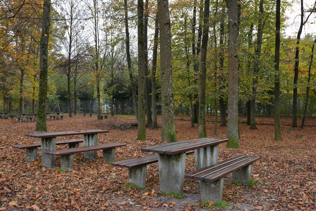 Wendlingen am Neckar, Deutschland by Norbert Kurpiers