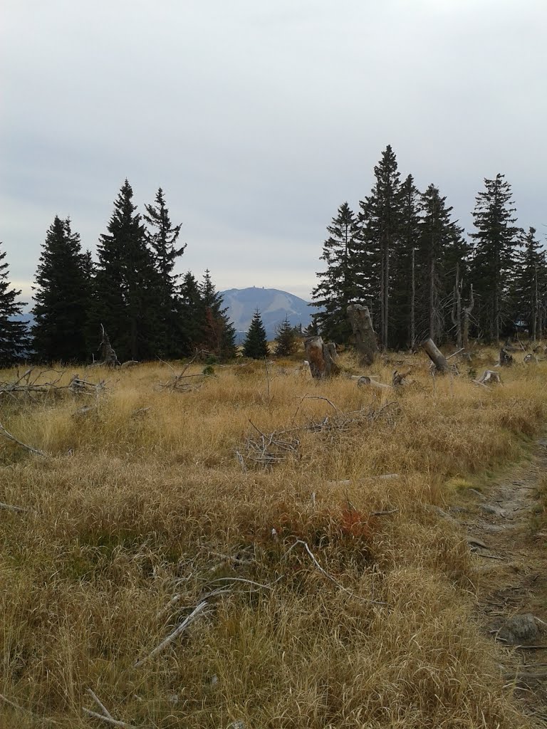 Svaroh/Zwercheck: the ridge, lookout to Arber by arkey