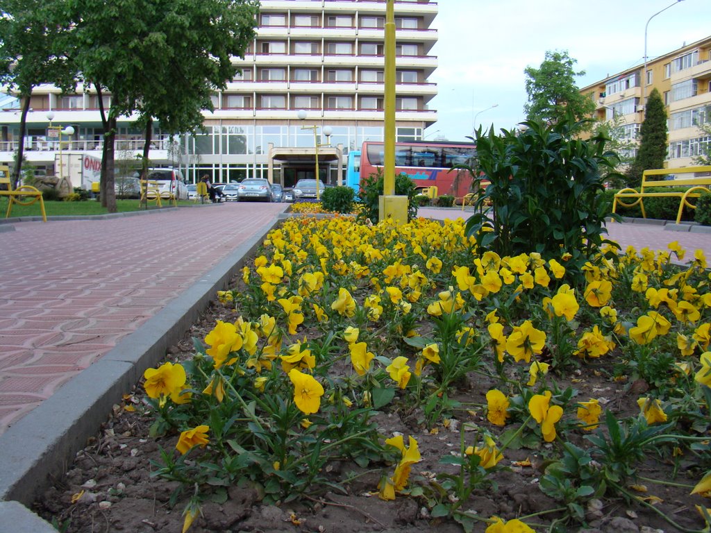 Parcul din fata hotelului delta by soby