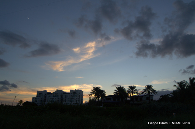 F.B.El atardecer y las palmeras. by filippo bilotti