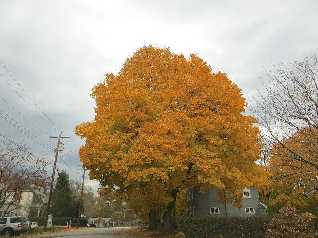 Fall in Port Jervis by Adam Elmquist