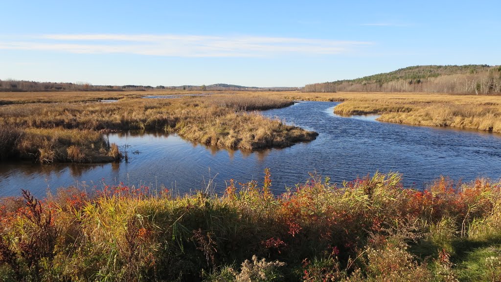 Moosehorn National Wildlife Refuge, Charlotte, Maine, USA by zitrone* 🍋