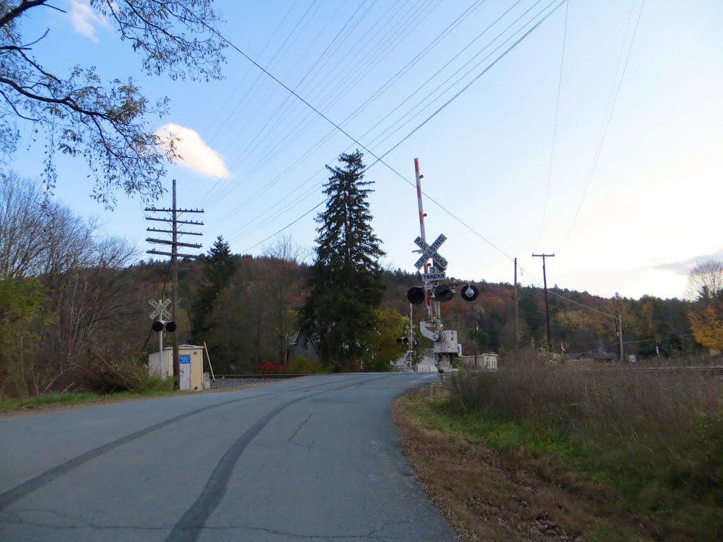 Scenic Drive RR Xing by Adam Elmquist