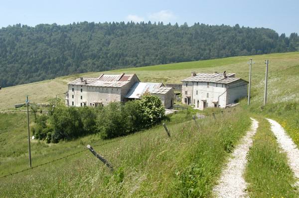 Contrada Labe by Gregorio P.