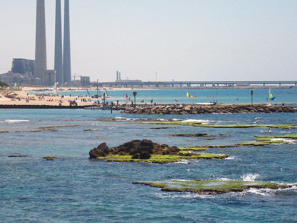 Caesarea National Park seaweed islands by Carmel Horowitz