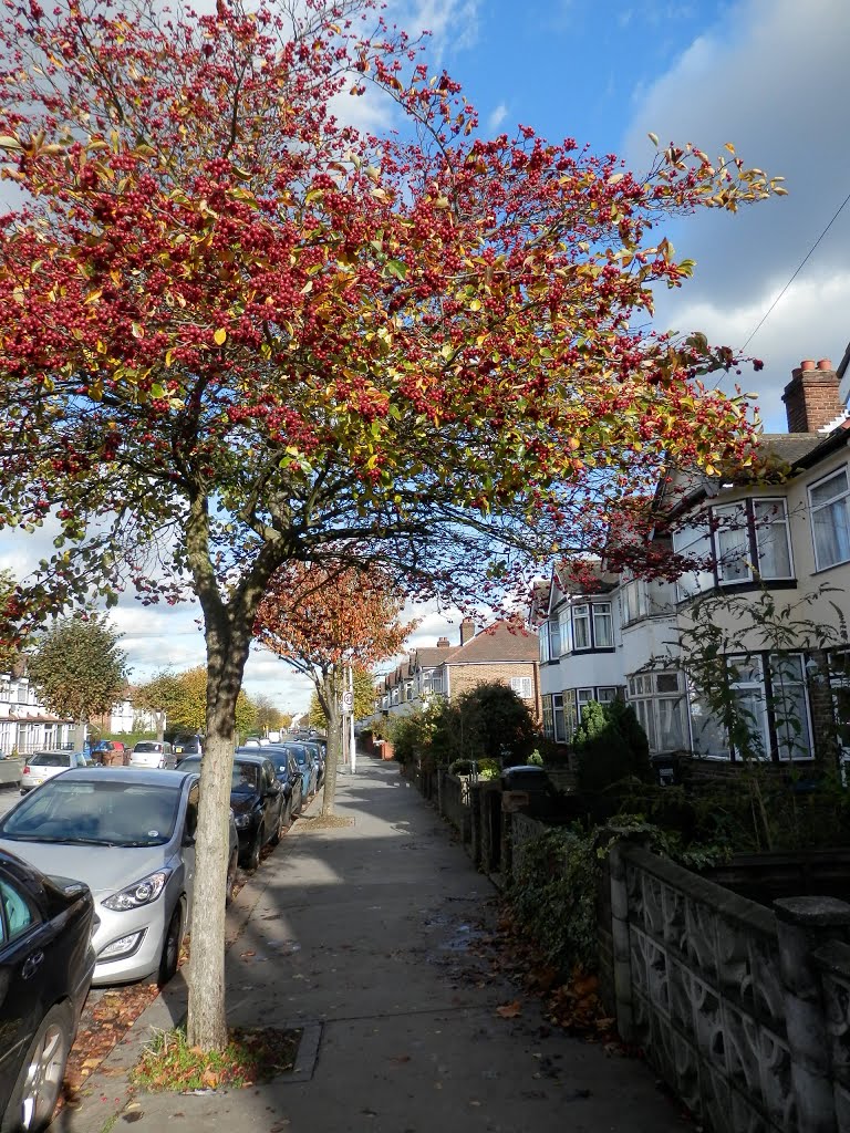 Croydon, London by Mihalec Hedvig