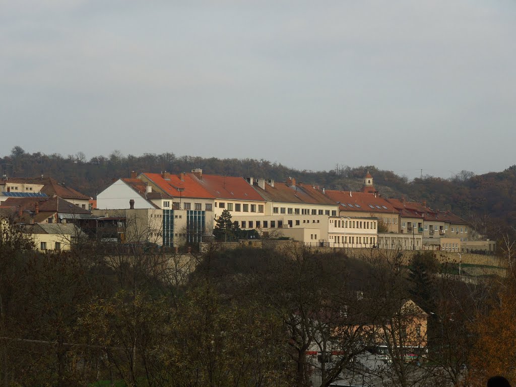 Moravský Krumlov - 1.11.2013 by Robin - psí turista