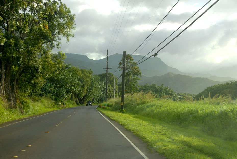 Road to Hanalei - 200804 by Larry Workman QIN