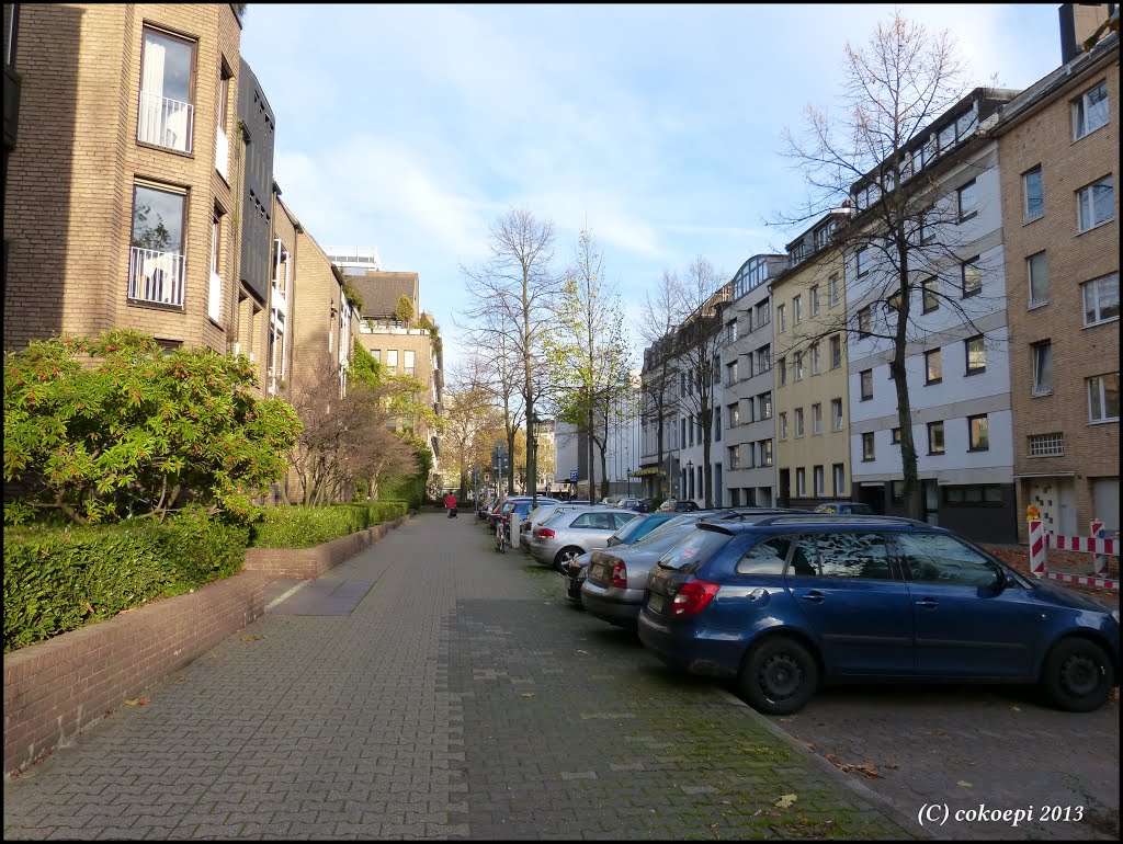 Scheibenstrasse Düsseldorf by co-koe