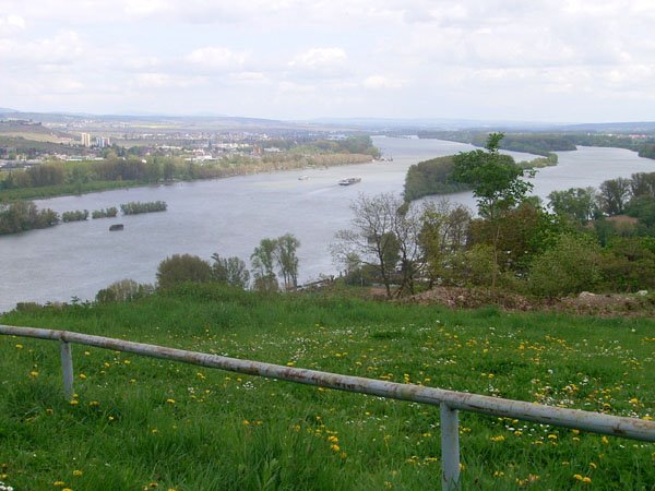 View from Rochusberg over River Rhein by Bernd Kaufmann