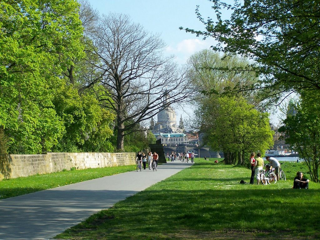 Dresden, Elbufer -rolo 2008- by Ronald Lohse