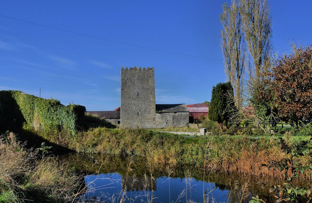 Castle at Grangeclare,, Co. Kildare. by John Cotter