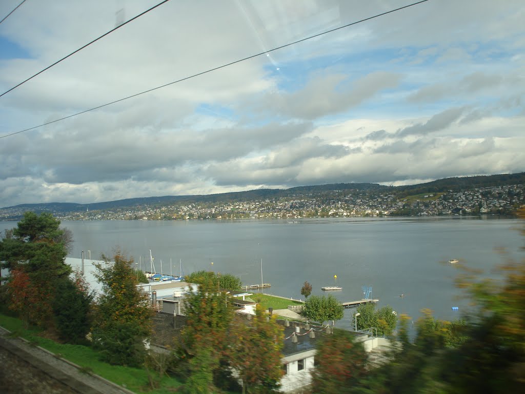 Thalwil, Zurichsee by olgeorg