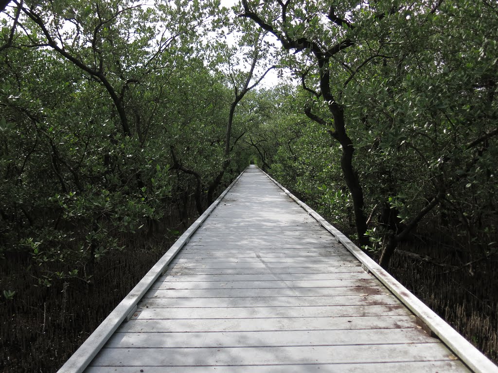 A walkway to the birdwatching tower. by SorenT67