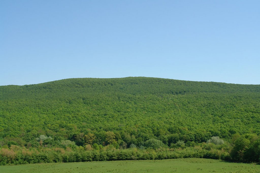 Mountain in Shapsugskaya by Stefan_kr