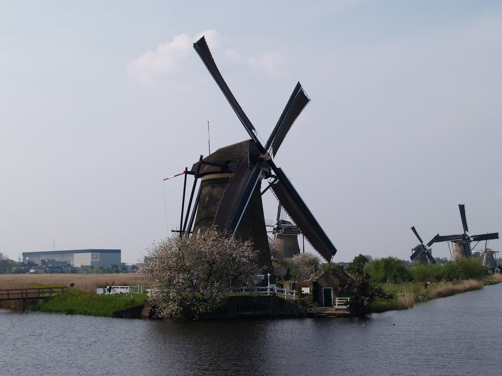 Molens van Kinderdijk by Wim Constant